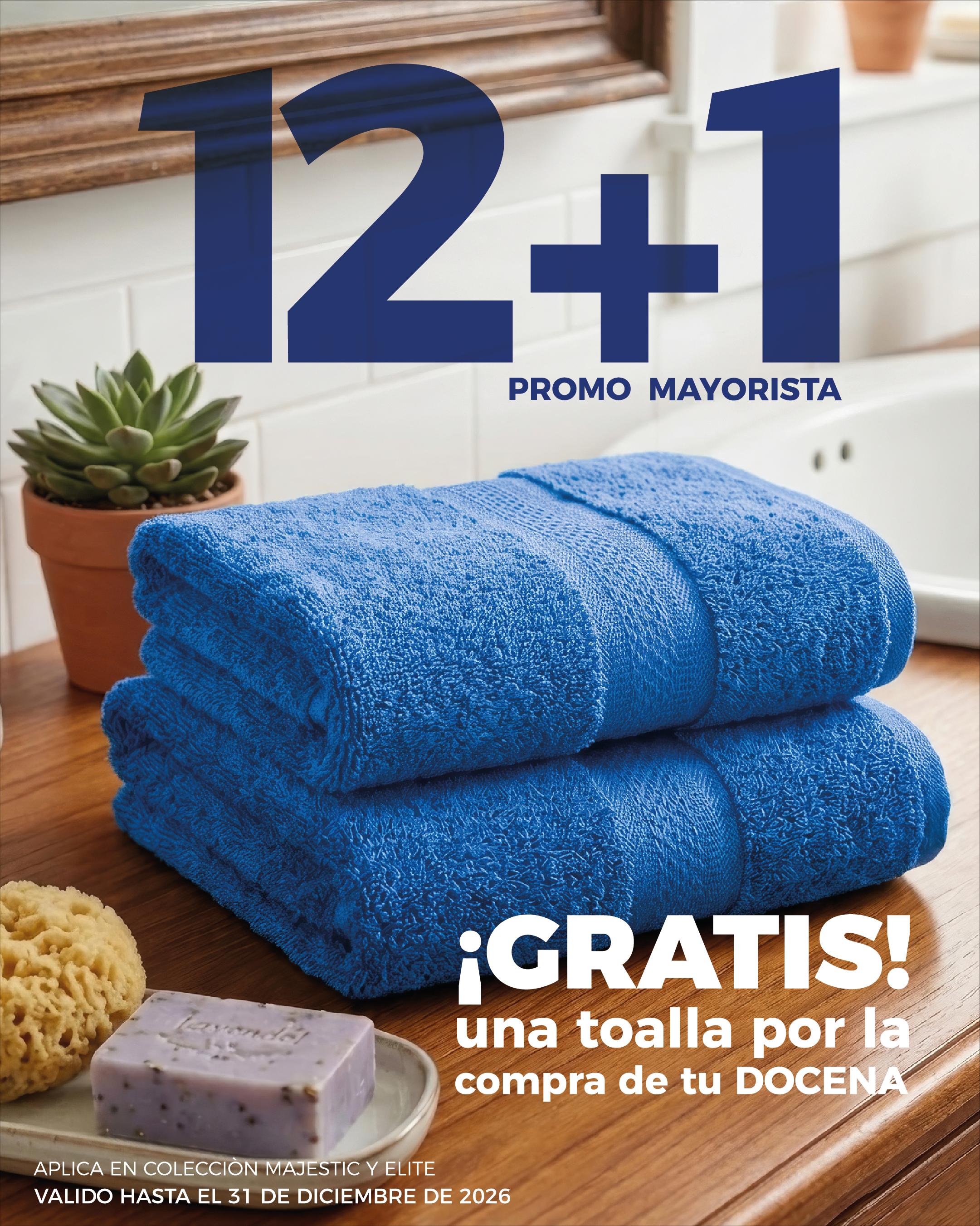 Promo Mayorista 12+1